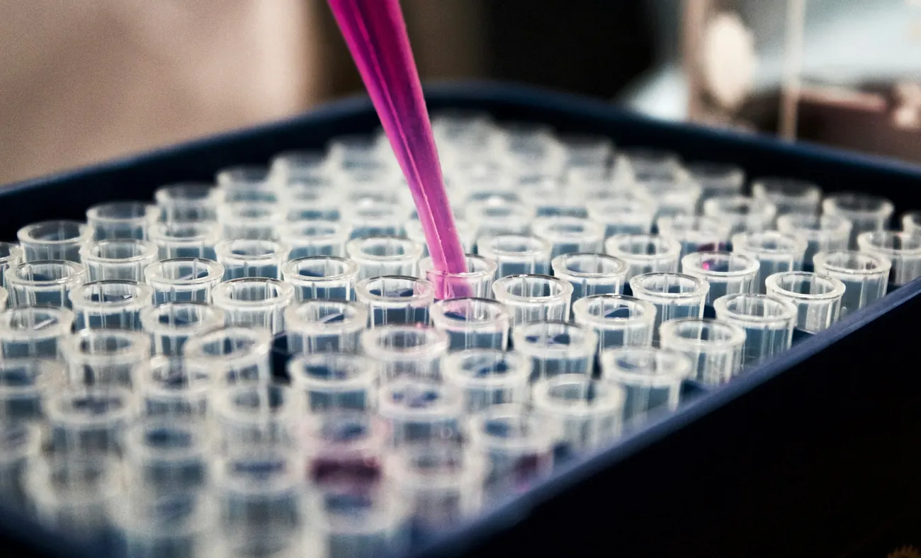 Faculty-Mentored Research Programs